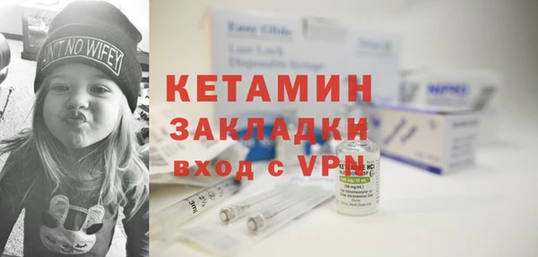 индика Каменка