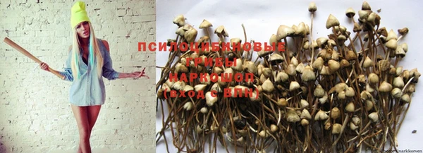 MESCALINE Вязники