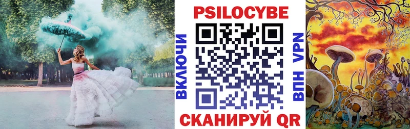 Псилоцибиновые грибы Magic Shrooms  Николаевск 