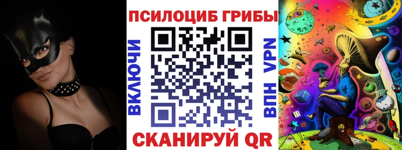 Псилоцибиновые грибы Psilocybine cubensis Николаевск